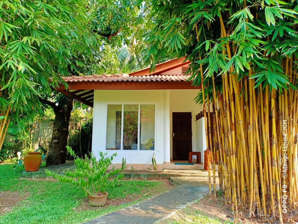 Mango House Japanese Guest House Negombo Luaran gambar