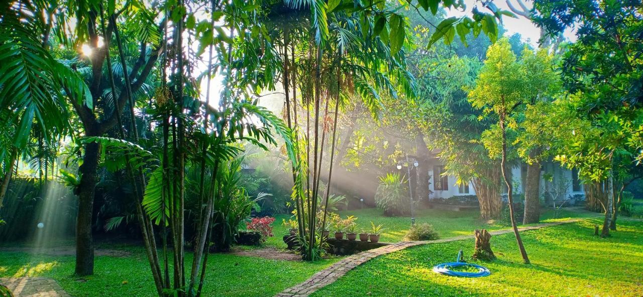 Mango House Japanese Guest House Negombo Luaran gambar