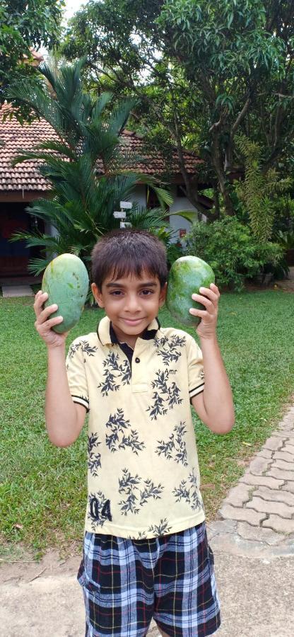 Mango House Japanese Guest House Negombo Luaran gambar