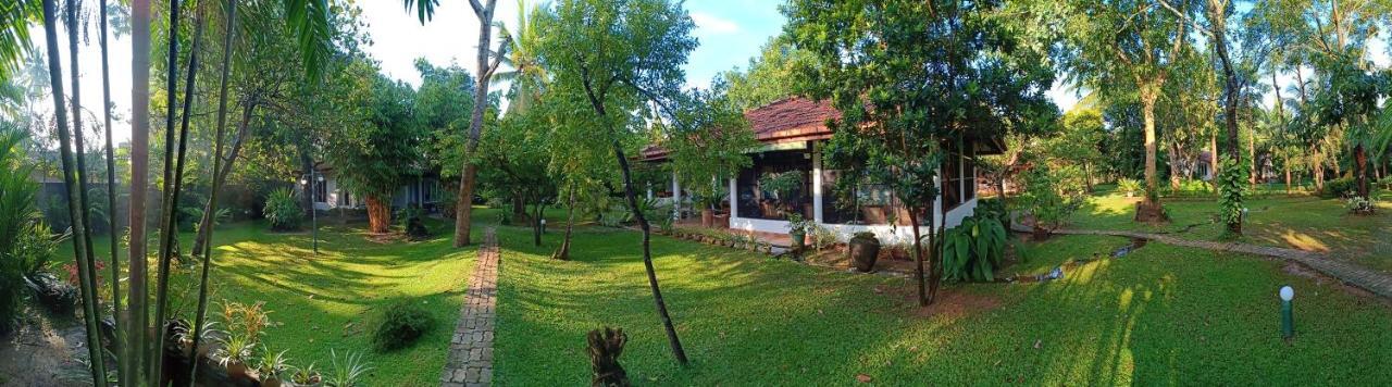 Mango House Japanese Guest House Negombo Luaran gambar