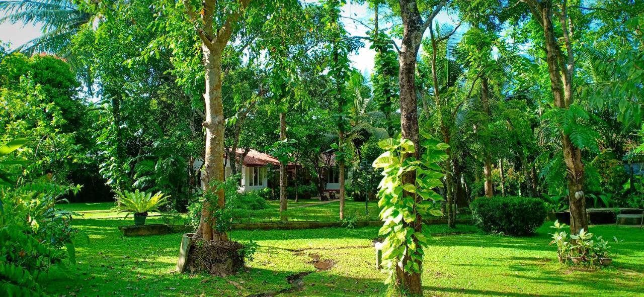 Mango House Japanese Guest House Negombo Luaran gambar